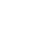 brand-logo-2-overlay