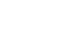 brand-logo-3-overlay