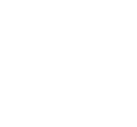 brand-logo-5-overlay