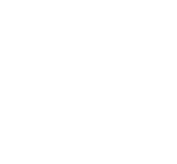brand-logo-1-overlay-4
